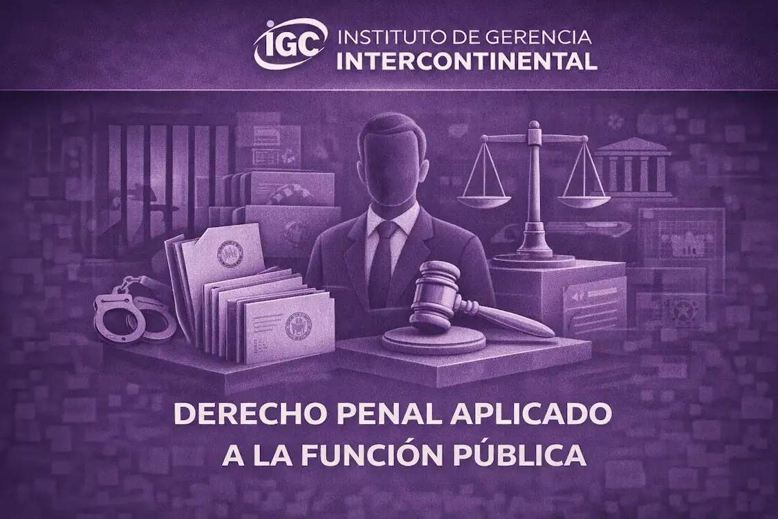 Imagen de Derecho Penal Aplicado a la Función Pública